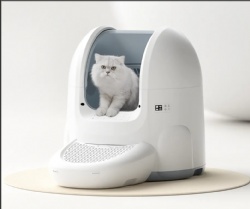 Cat Litter Box